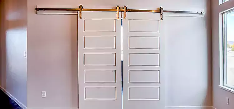 Glass Barn Door with Installation Hardware Kit Southfield