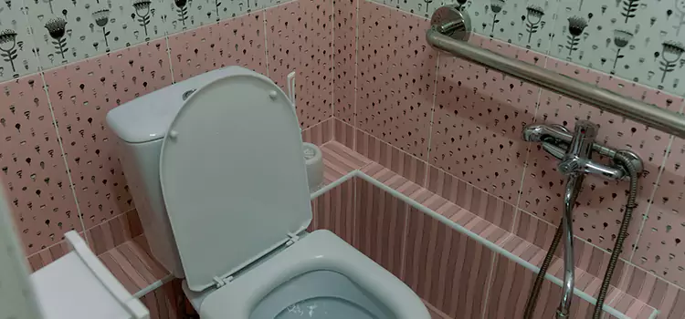 Meeting Diverse Needs With Accessible Restroom Solutions in Southfield, MI